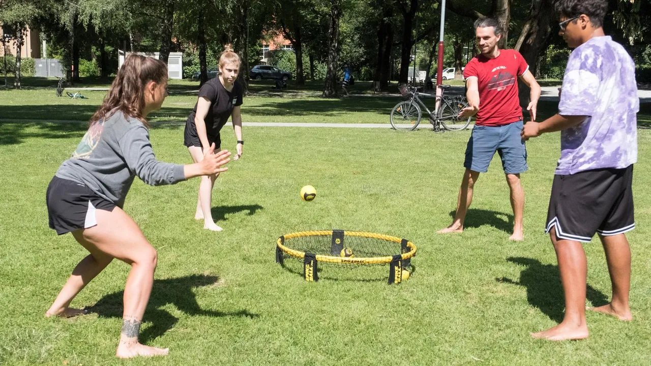 Vier junge Erwachsene stehen um ein Roundnet und spielen aktiv Spikeball